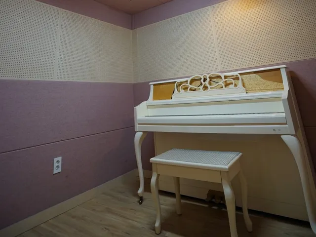 VIVA MUSIC STUDIO