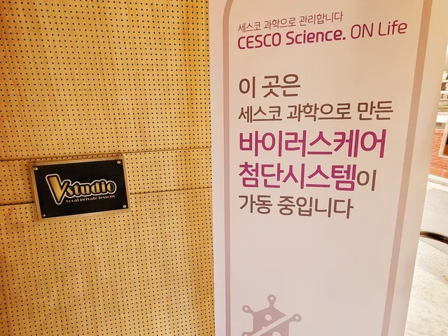 브이스튜디오