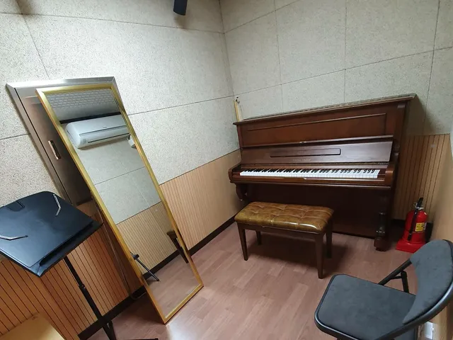 S 피아노