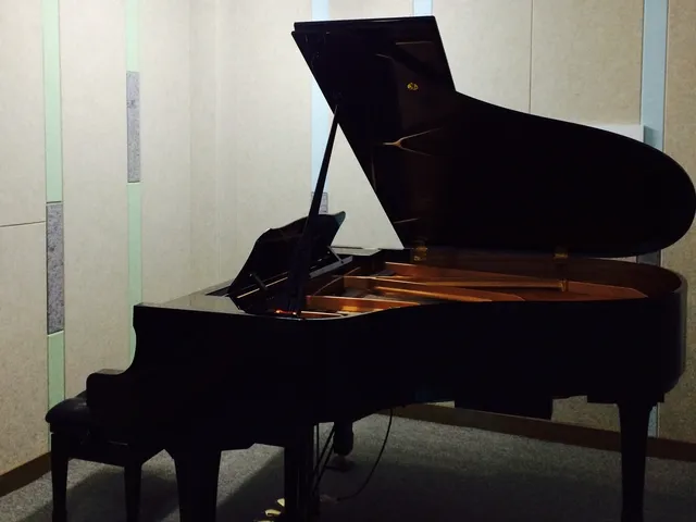 Deutsche Musik Akademie