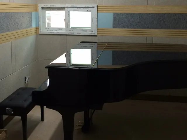 Deutsche Musik Akademie