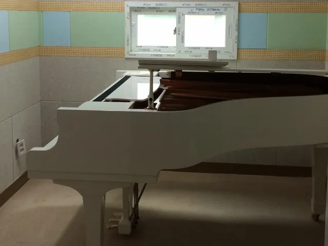 Deutsche Musik Akademie