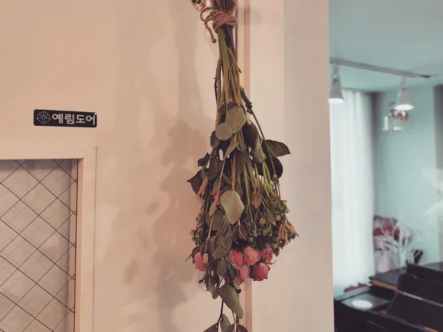 피아노엘