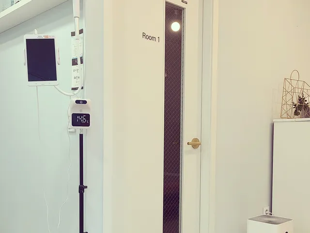 피아노엘
