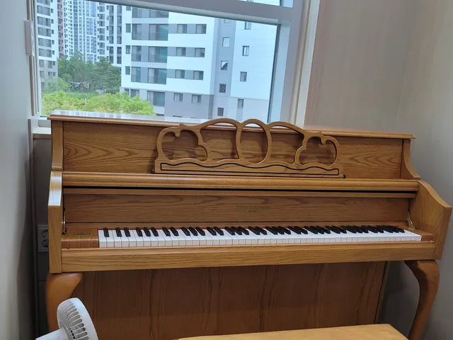 썬재즈앤피아노음악학원