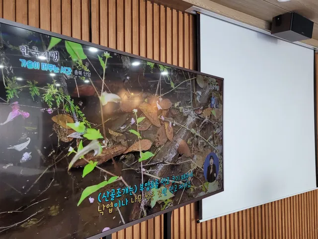 공간 '모임(moim)'