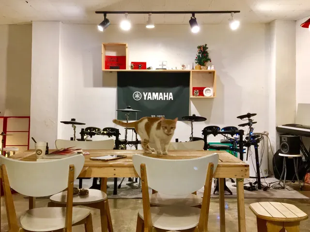 소듐스튜디오