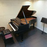STEINWAY &SONS  B