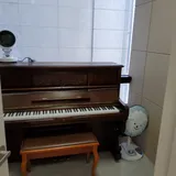 업라이트