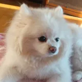 리뷰 작성자