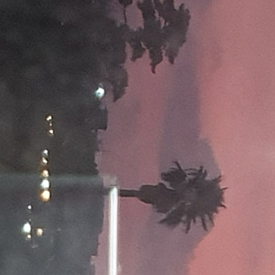 작성자