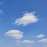 리뷰 작성자