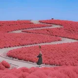 리뷰 작성자