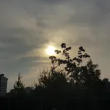 리뷰 작성자