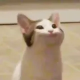 리뷰 작성자