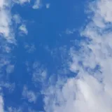 리뷰 작성자