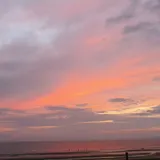 리뷰 작성자