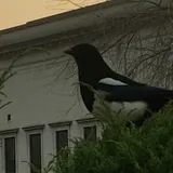 리뷰 작성자