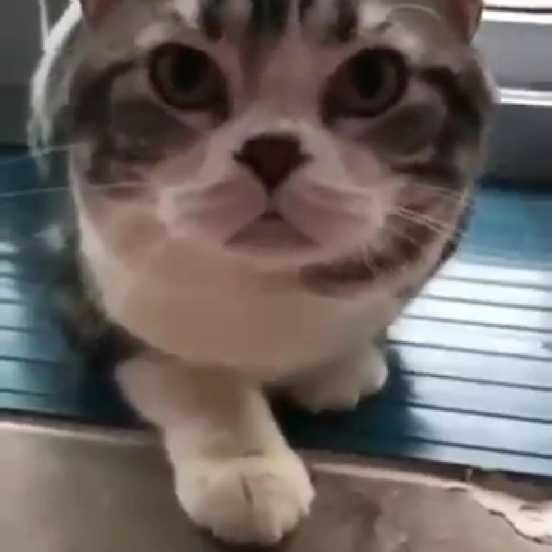 작성자