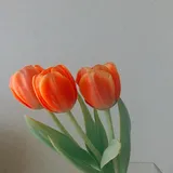 리뷰 작성자