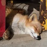 리뷰 작성자