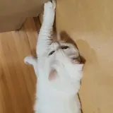 리뷰 작성자