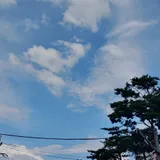 리뷰 작성자