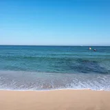 리뷰 작성자