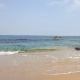 리뷰 작성자