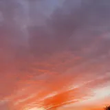 리뷰 작성자