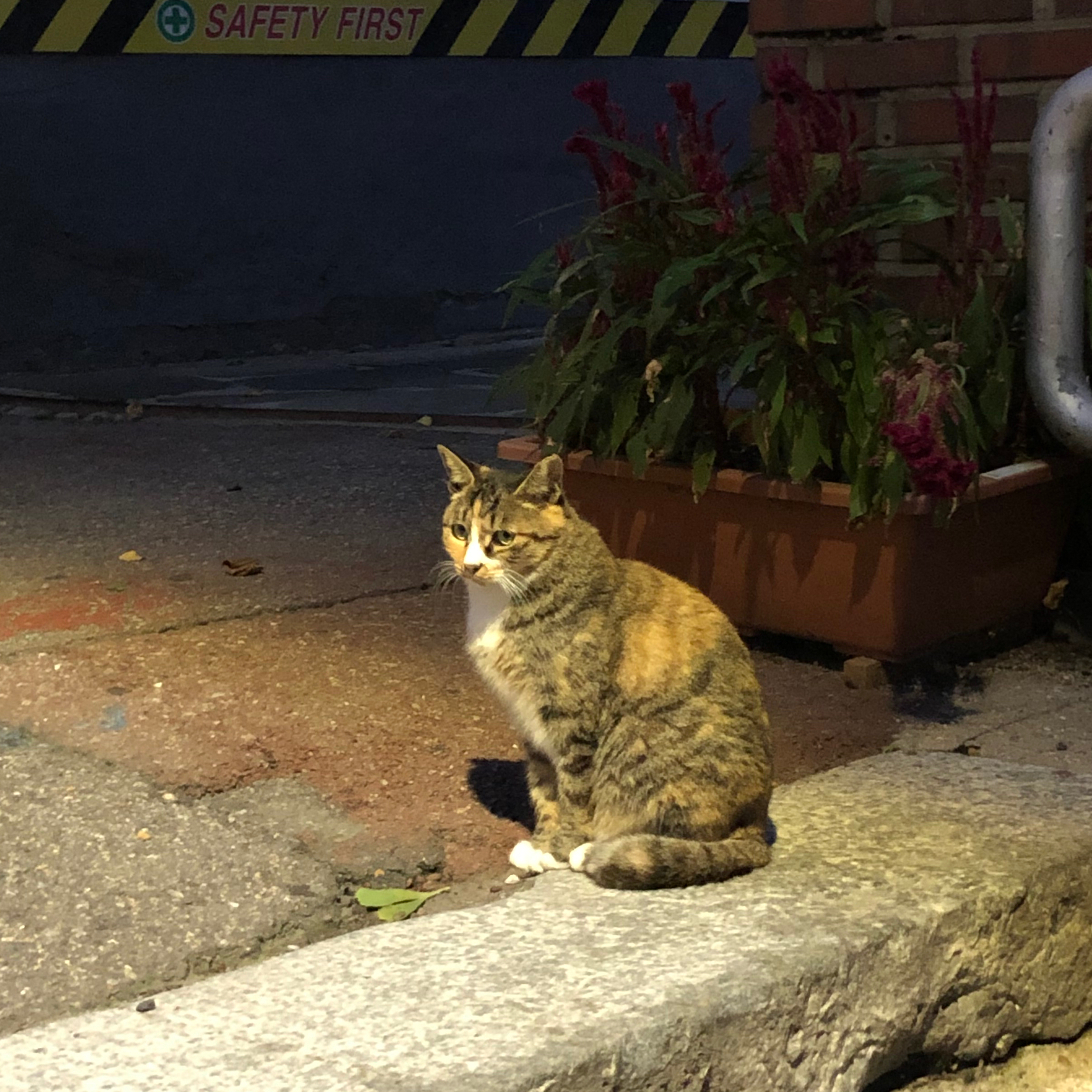 리뷰어 섬네일