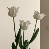 리뷰 작성자