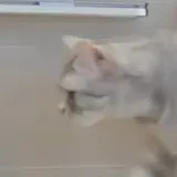 리뷰 작성자