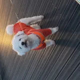 리뷰 작성자