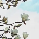 리뷰 작성자