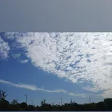 리뷰 작성자