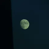 작성자