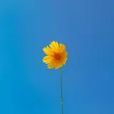 리뷰 작성자