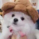 리뷰 작성자