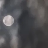 리뷰 작성자
