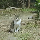 리뷰 작성자