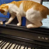 리뷰 작성자