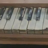 박동조
