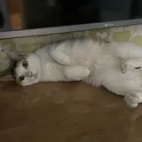 리뷰 작성자