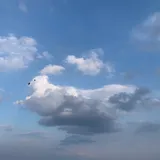리뷰 작성자