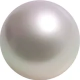 리뷰 작성자