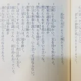리뷰 작성자