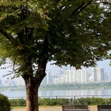 리뷰 작성자