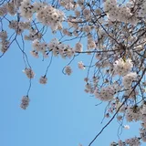 리뷰 작성자