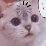 리뷰 작성자